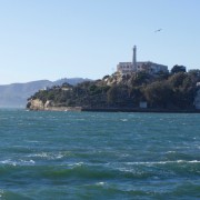 IMG 0233
