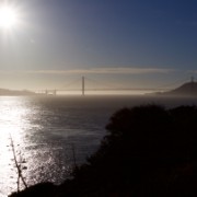 IMG 0312