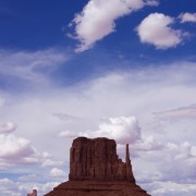 IMG 6861