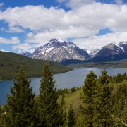 IMG 7610
