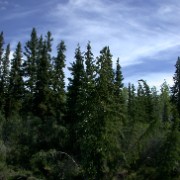 DSCN0626 E